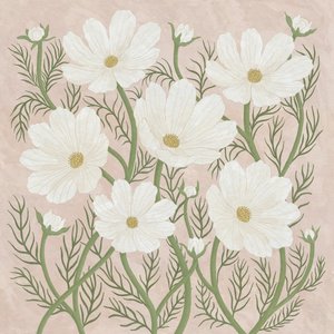 Cosmos, 2023 (wersja cyfrowa)