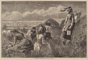 Zbieranie jagód autorstwa Lagarde after Winslow Homer