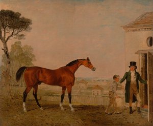 „Sultan” w pracowni markiza Exeter, Burghley House