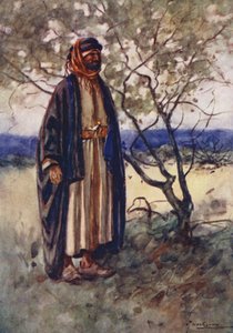 Ludność Egiptu: Beduin Arab, Bedawi (kolorowa litografia) autorstwa Lance Thackeray