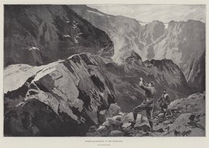 Strzelanie do Ptarmiganów w Highlands