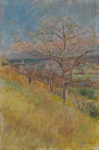 Dolina z kwitnącymi drzewami, 1890-1900 autorstwa Laszlo Mednyanszky