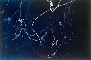Ohne Titel (3 ujęcia sygnalizacji świetlnej) autorstwa Laszlo Moholy Nagy