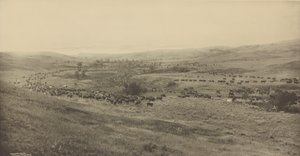 [Rzucanie Rangersów do łapanki] autorstwa Laton Alton Huffman