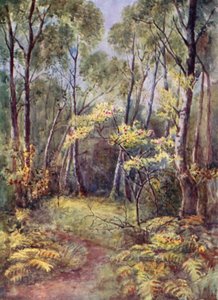 W Leigh Woods