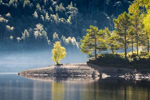  autorstwa Lee Cooper