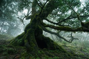  autorstwa Lee Cooper