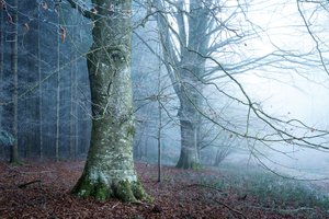  autorstwa Lee Cooper