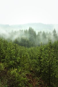  autorstwa Lee Cooper