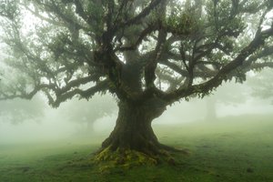  autorstwa Lee Cooper