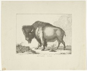 Bizon autorstwa Leendert Brasser