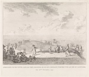 Wieloryb wyrzucony na plażę w Zandvoort Obraz Vin-Vis (...) porzucony między Wyk aan Zee i Zandvoord, 18 listopada 1791 (tytuł na obiekcie)