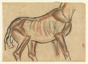 Szkielet konia autorstwa Leo Gestel