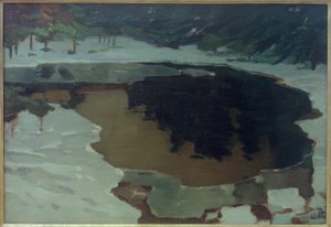 Jezioro Moorsee im Winter autorstwa Leo Putz