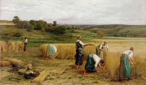 Żniwa, 1874 r.