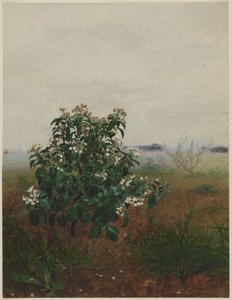  autorstwa Léon Bonvin