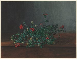 Martwa natura z dzikimi kwiatami autorstwa Léon Bonvin