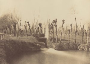 Krajobraz, Montebello, ok. 1860 (zdjęcie) autorstwa Léon Gérard