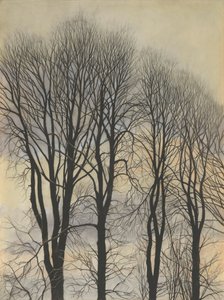 Drzewo na niebie autorstwa Leon Spilliaert