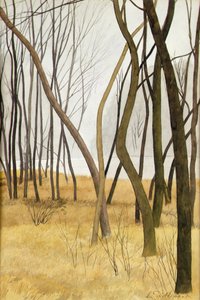 Drzewa (akwarela i ołówek na papierze) autorstwa Leon Spilliaert