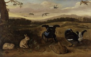 Czarna zwierzyna, króliki i jaskółki w parku, ok. 1700 (olej na płótnie) autorstwa Leonard Knyff