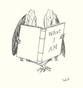 W ogrodzie Jasia Wrony (litografia) autorstwa Leonard Leslie Brooke