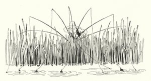 Indeks pierwszych wierszy (grawerowanie) autorstwa Leonard Leslie Brooke
