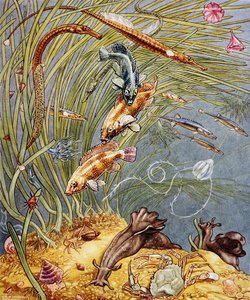 Ilustracja z filmu „Życie na wybrzeżu w Wielkiej Brytanii” wydrukowana w 1947 r. (kolor lito)