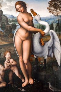 Leda i łabędź, olej na płótnie autorstwa Leonardo da (after) Vinci