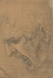 Głowa krzyczącego mężczyzny autorstwa Leonardo da Vinci (follower of)