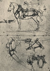 Zaprzęgnięty koń powozowy i badania uprzęży, ok. 1480 1945 r autorstwa Leonardo da Vinci