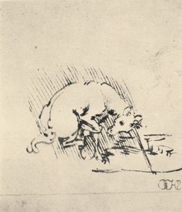 Jednorożec zanurzający róg w wodzie, ok. 1480 1945 autorstwa Leonardo da Vinci