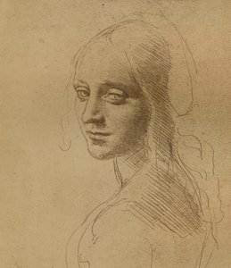 Głowa kobiety, c1472-c1519 1883, autorstwa Leonardo da Vinci