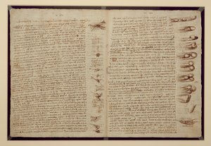 Strona z Codex Leicester, 1508-12 (tusz sepia na papierze lnianym) autorstwa Leonardo da Vinci