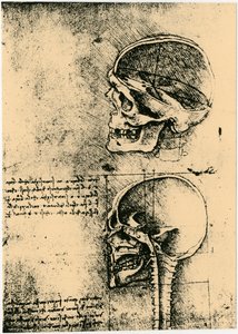 Szkic anatomiczny, dwa badania ludzkiej czaszki, c1489 autorstwa Leonardo da Vinci