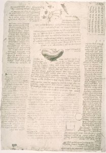 Anatomiastudia autorstwa Leonardo da Vinci