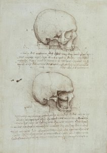 Anatomiastudia autorstwa Leonardo da Vinci