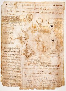 Badania anatomii: narządy brzucha ... autorstwa Leonardo da Vinci