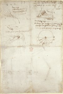 Arundel 263, f.126v Trzy notatki i szkice na wodzie; schemat lotu ptaków, ok. 1500-5 (pióro i atrament na papierze) autorstwa Leonardo da Vinci