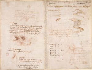 Arundel 263, f.278v, f.271 Notatki o poczuciu rzeczywistości w snach, na wodzie, sicie rzeki i Arno (do góry nogami), z „Codex Arundel” (pióro i atrament na papierze) autorstwa Leonardo da Vinci