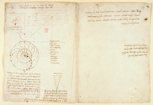 Arundel 263 f.44v, f.59 Szkic oka i nosa twarzy z profilu; notatki o wodzie, z „Codex Arundel” (pióro i atrament na papierze) autorstwa Leonardo da Vinci