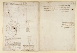 Arundel 263, f.44v, f.59 Szkic oka i nosa twarzy z profilu; notatki o wodzie, z „Codex Arundel” (pióro i atrament na papierze) autorstwa Leonardo da Vinci