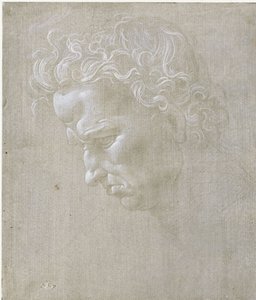 Profil twarzy mężczyzny autorstwa Leonardo da Vinci