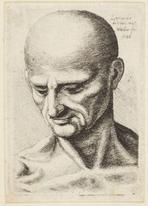 Łysy mężczyzna autorstwa Leonardo da Vinci