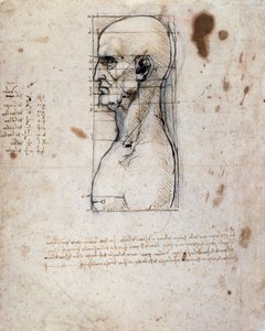 Popiersie mężczyzny z profilu z pomiarami i notatkami (tusz sepia na papierze lnianym) autorstwa Leonardo da Vinci