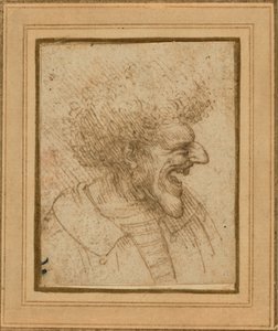 Karykatura mężczyzny z krzaczastymi włosami autorstwa Leonardo da Vinci