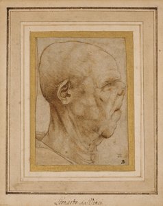 Karykatura głowy starca, z profilu po prawej, ok.1507 autorstwa Leonardo da Vinci