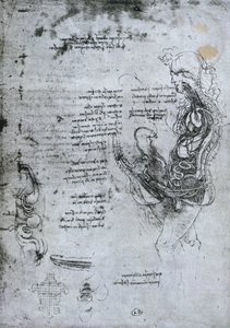 Koition of Hemisected Man and Woman, kopia faksymile autorstwa Leonardo da Vinci