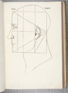 Boska proporcja autorstwa Leonardo da Vinci