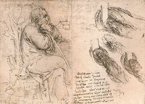Rysunek ilustrujący przedstawienie włosów opadających w loki, c1472-c1519 1883 autorstwa Leonardo da Vinci